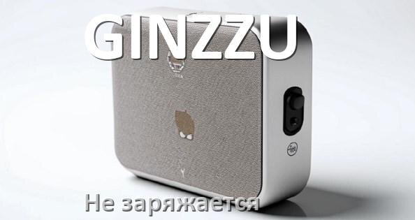 
Как зарядить колонку GINZZU если не заряжается и сломалось гнездо