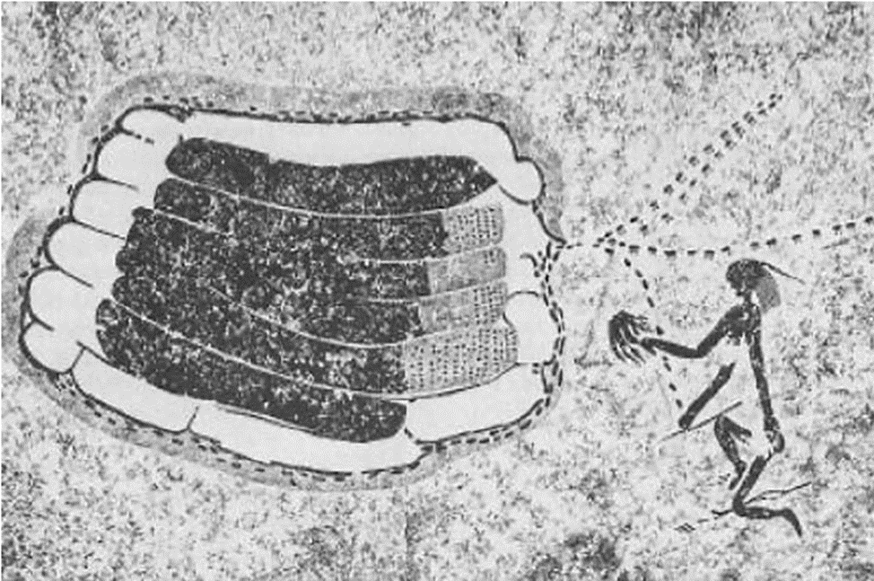 Наскальная живопись с изображением фигуры, выкуривающей пчел. Темные заштрихованные области представляют собой соты, заполненные медом или куколками, а светлые области представляют собой пустые соты, точками показаны видимые личинки в незакрытых ячейках. Плотина Тогвана, Зимбабве, Африка. Источник: https://www.researchgate.net