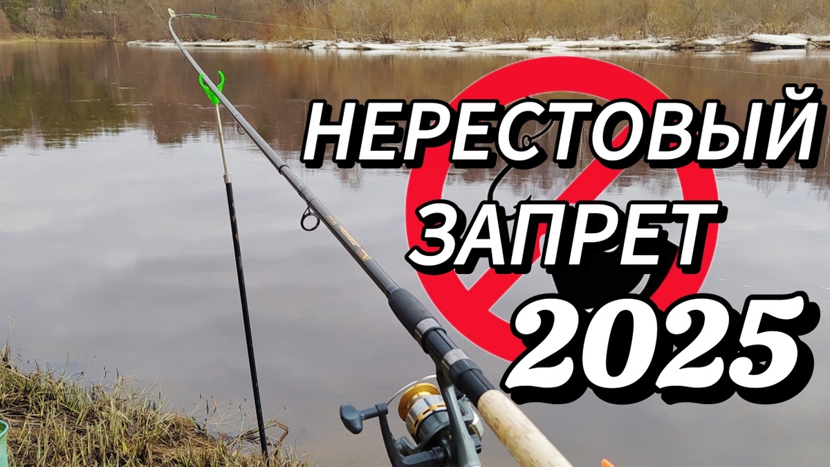 Нерестовый Запрет 2025. #нерестовыйзапрет