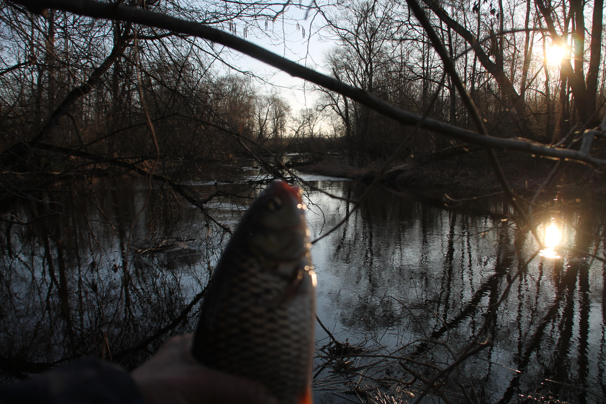 Где-то в Псковской деревне. Фото Автора.
