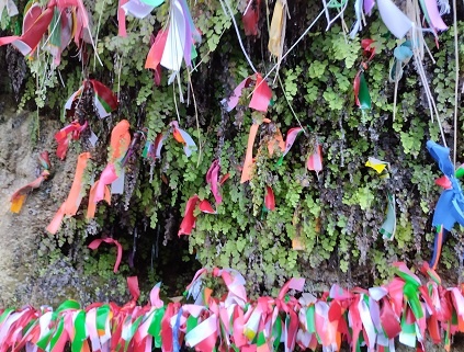 Фотография из личного архива автора