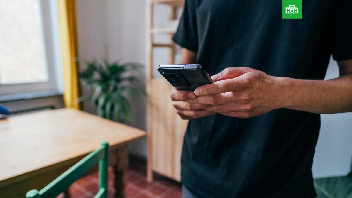    Фото: Jonas Leupe / unsplash.com