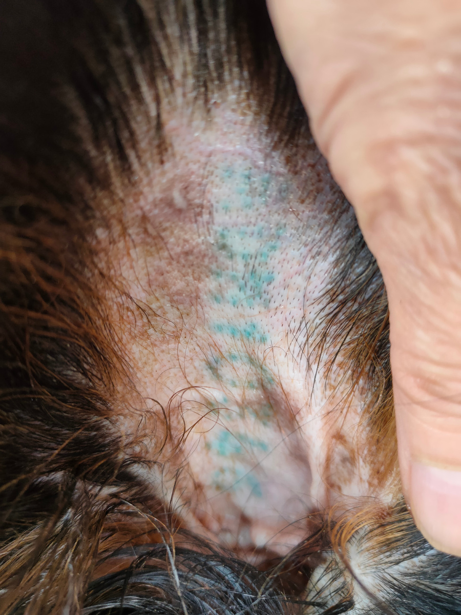 Клеймо на ушке... По нему можно узнать её происхождение...