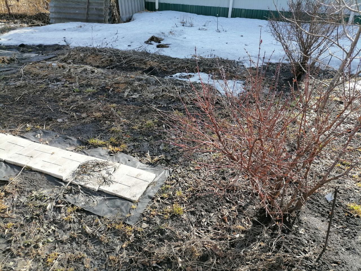 Весна, Сибирь, не убрано, фото автора