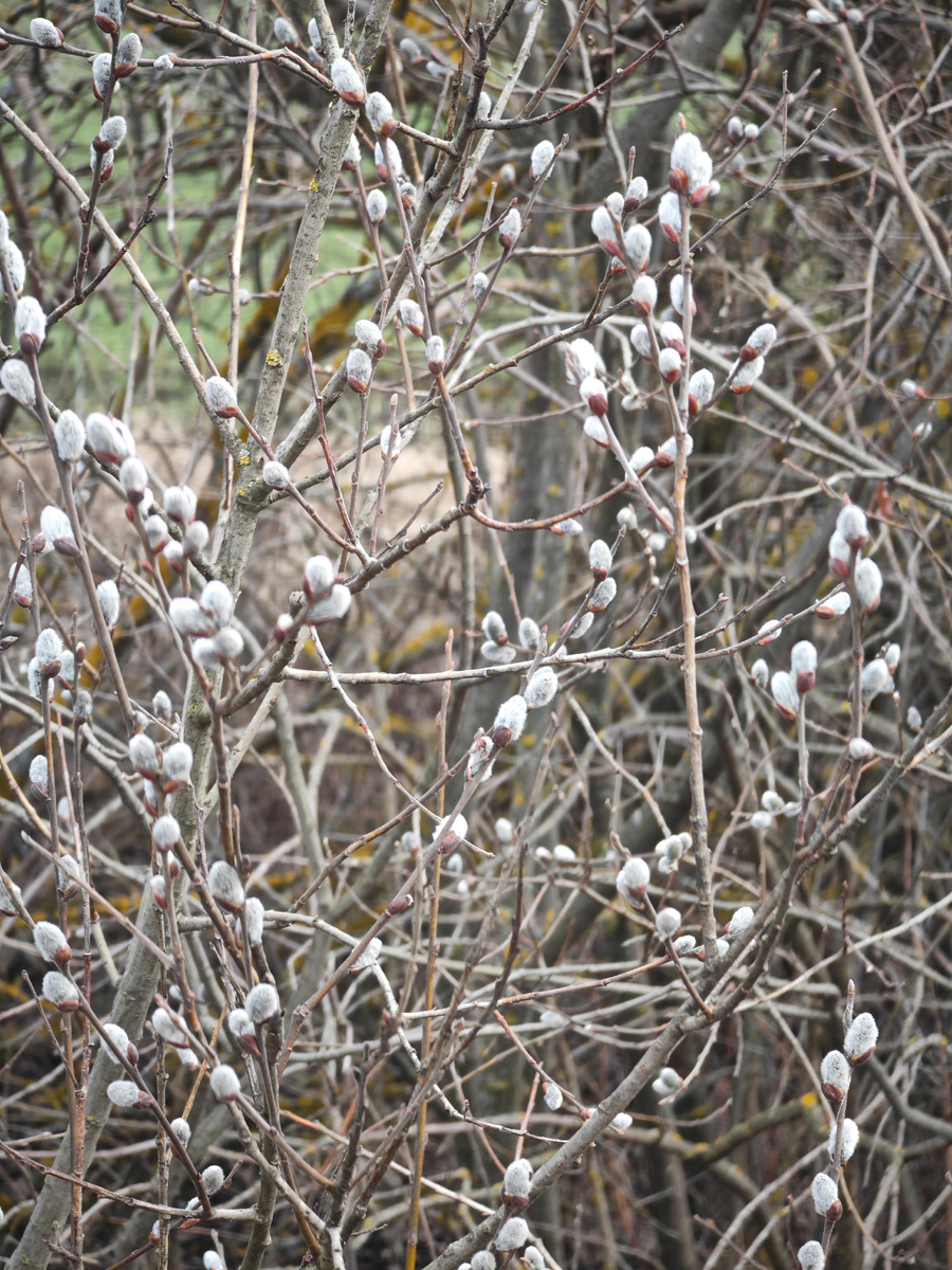 Фото автора канала 