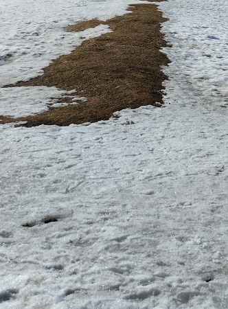 Фотография из личного архива автора