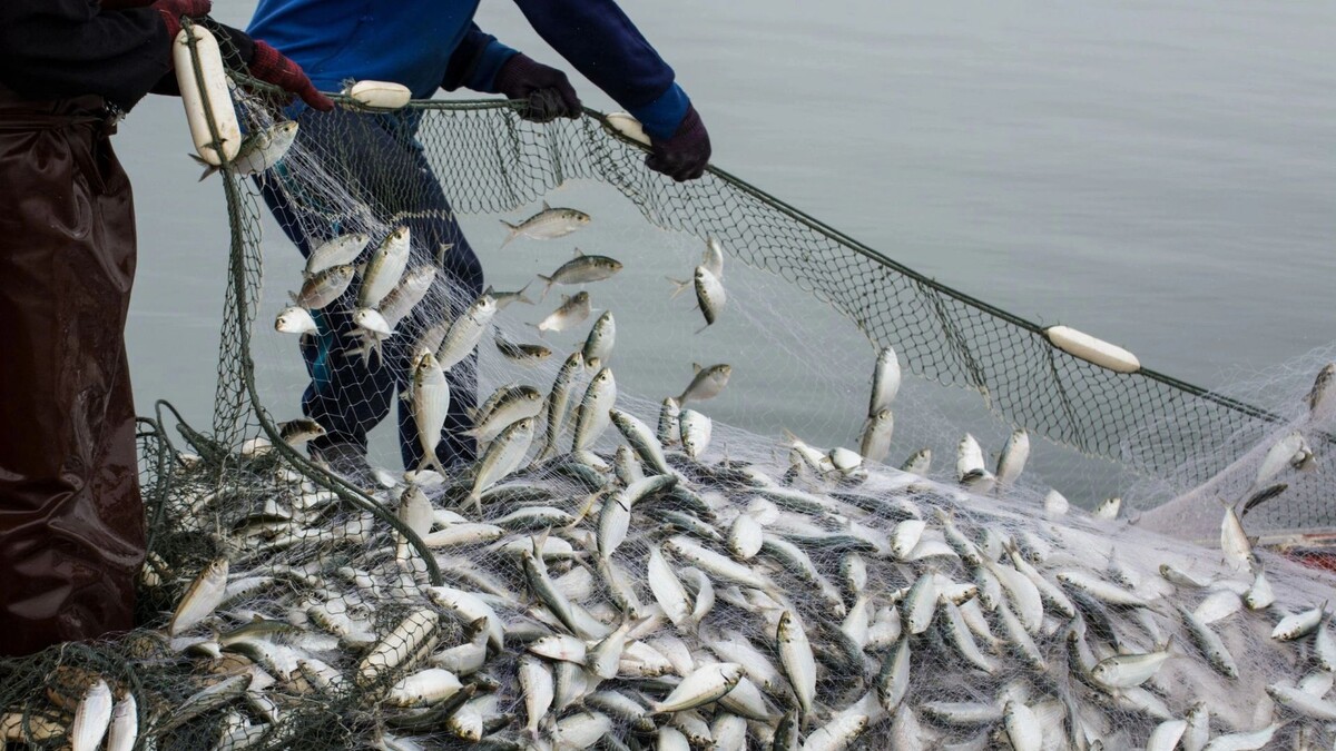    Фото: Watchares Hansawek/Shutterstock/Fotodom