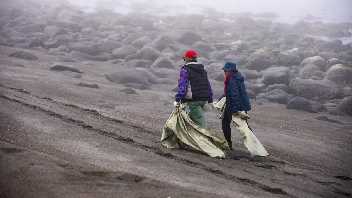 Иллюстрация: Яндекс  📷
