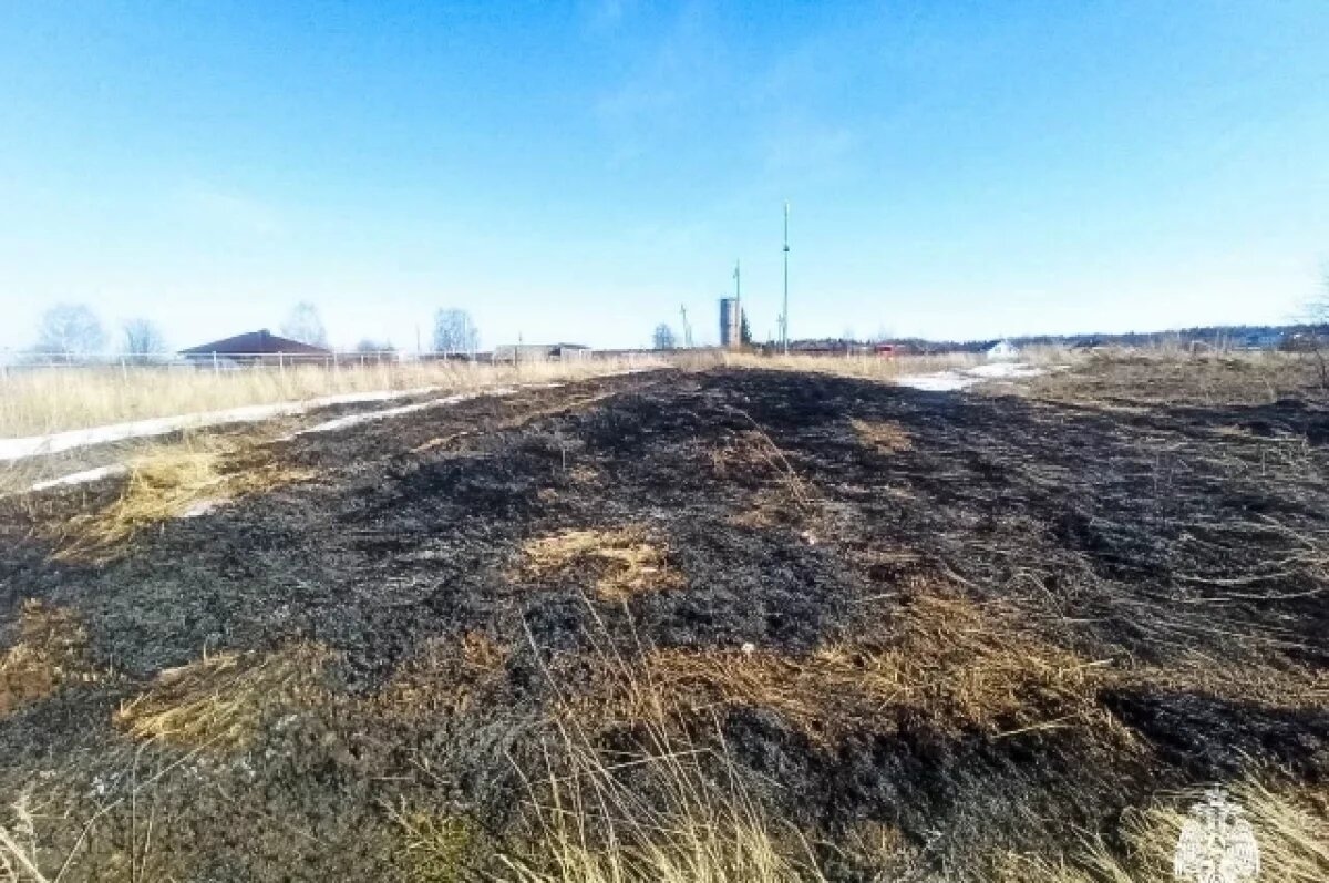    В Ижевске сгорело почти 400 кв. метров травы