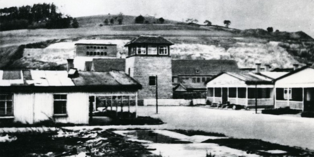 Мюльфиртельская охота на людей. История зверства фашистов и «мирных» бюргеров.