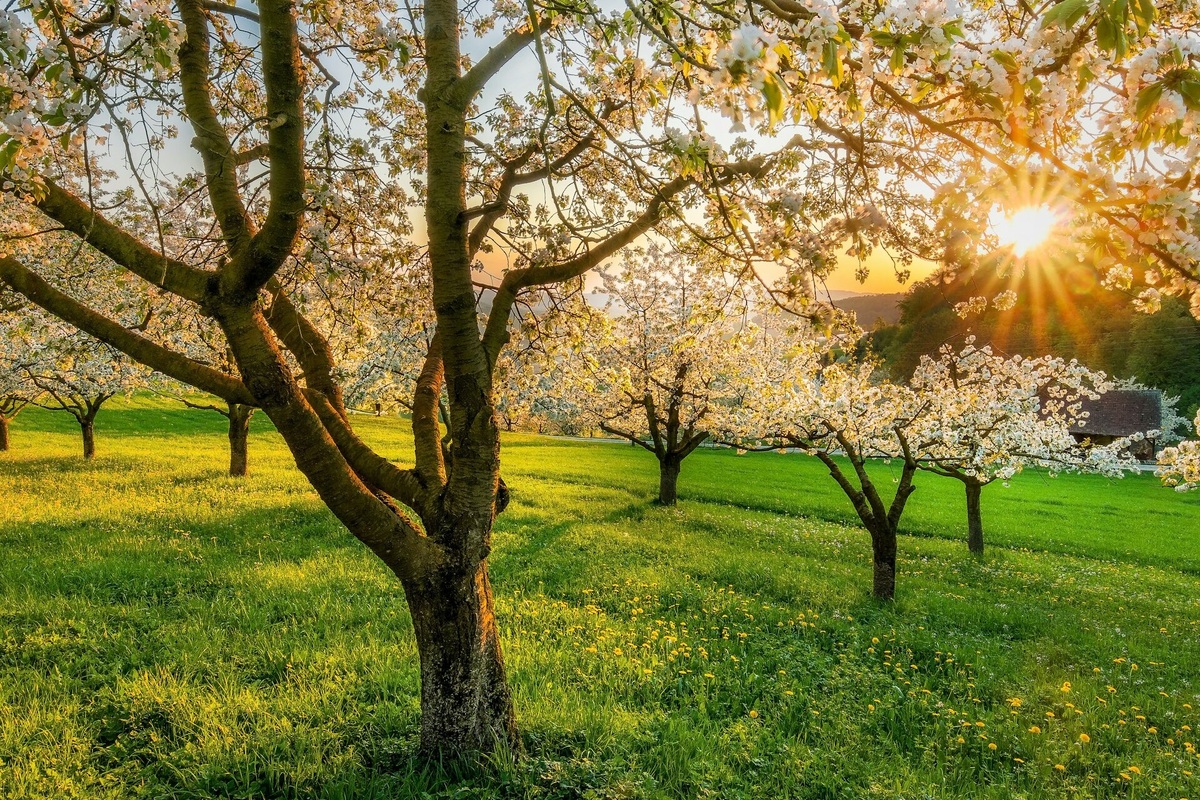     На 10 градусов теплее нормы: эти регионы России в апреле накроет аномальная жара