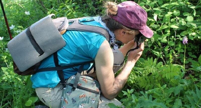    Фото: Природоохранный фонд "Верховье"