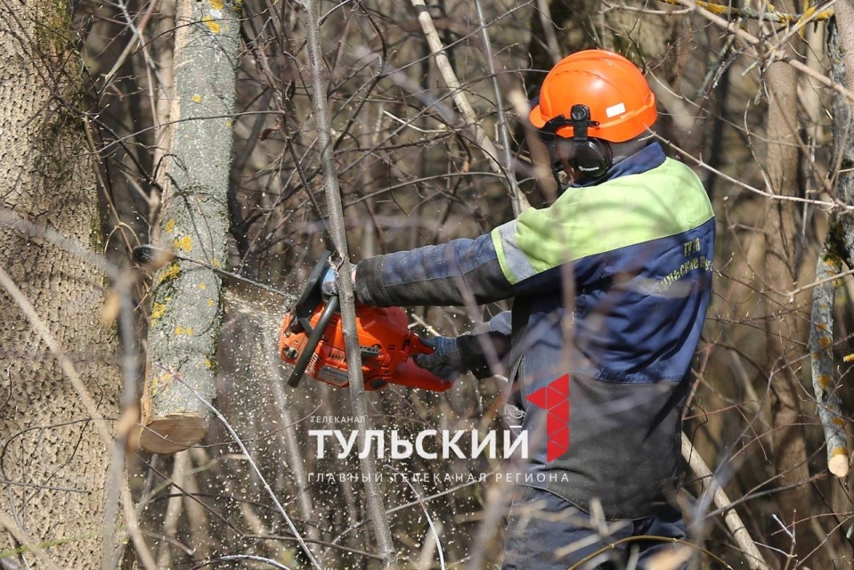 Автор: Первый Тульский