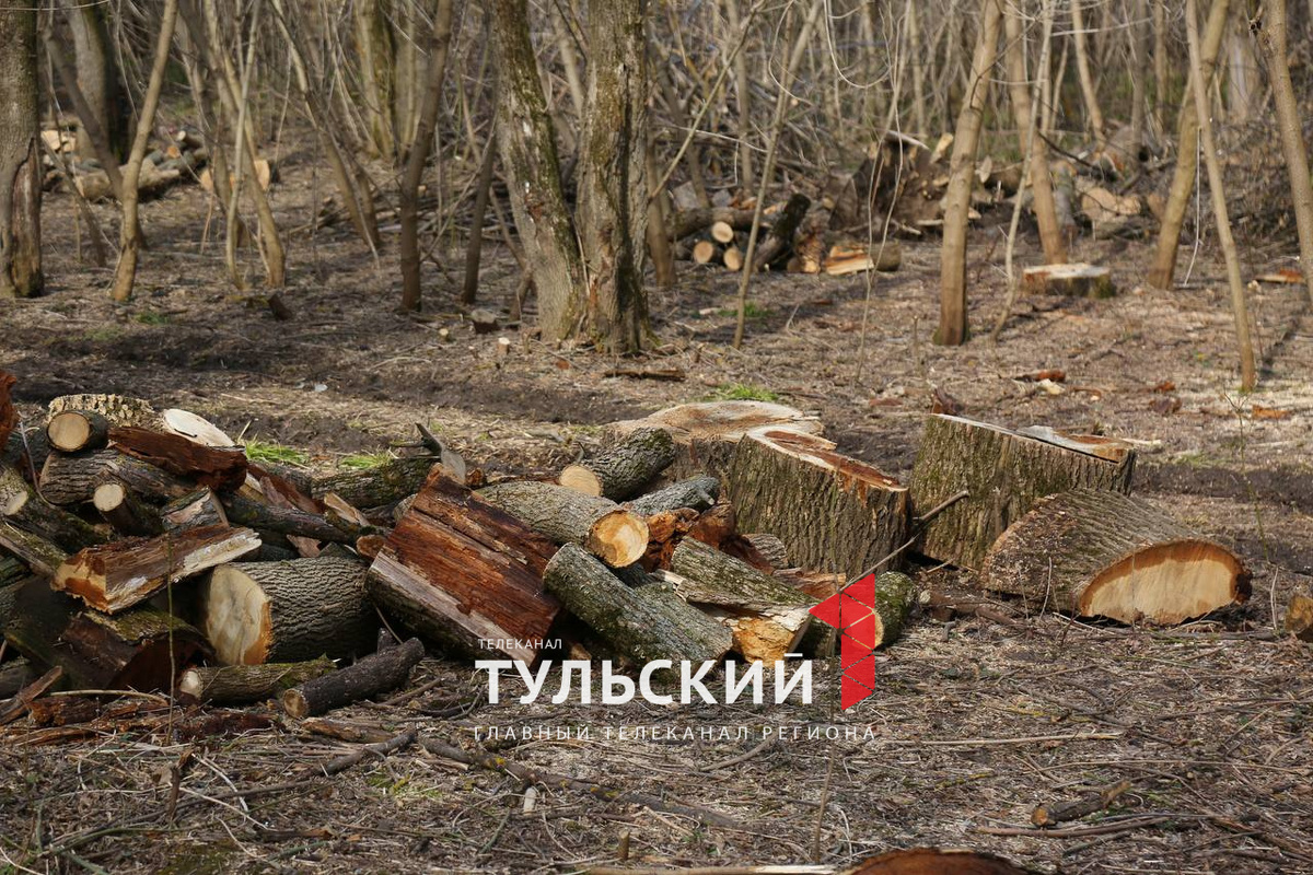 Автор: Первый Тульский