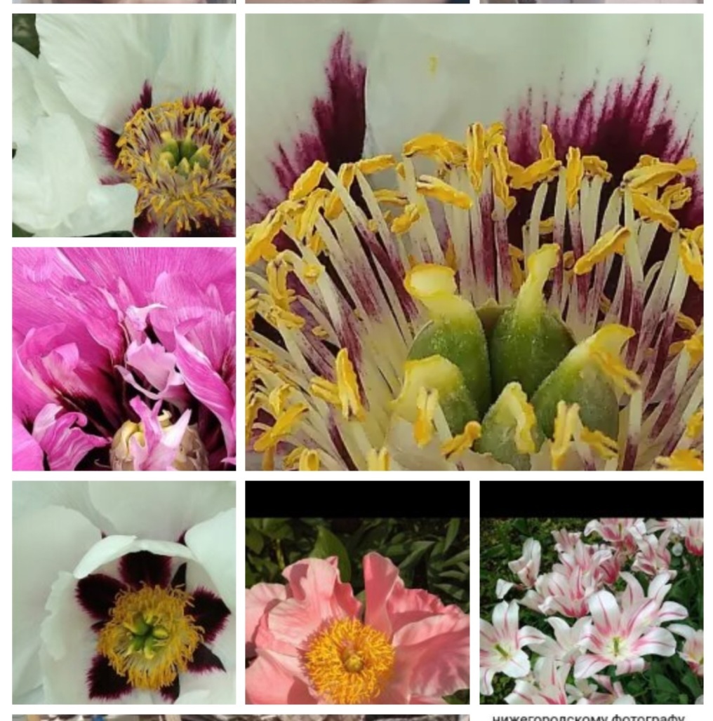 Фотоколлаж - собственность автора канала.