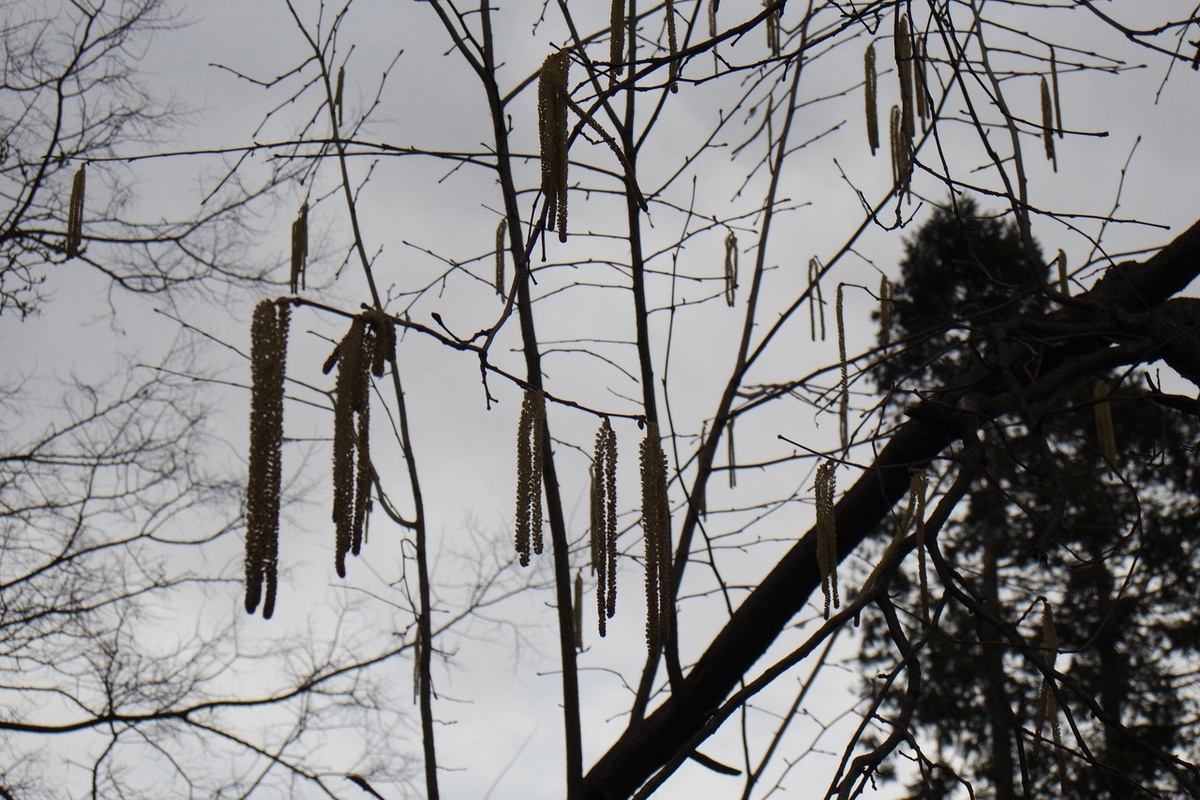 мрачноватые