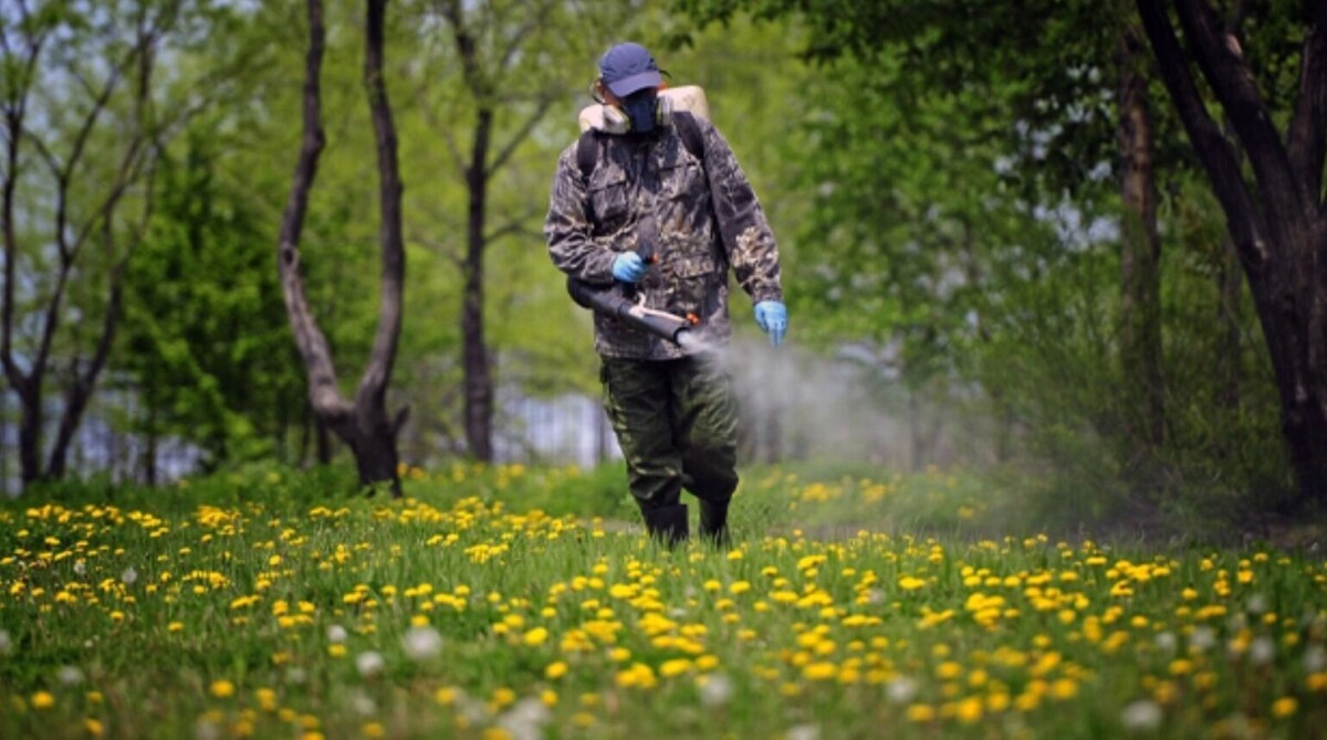     Источник: Роспотребнадзор по Волгоградской области