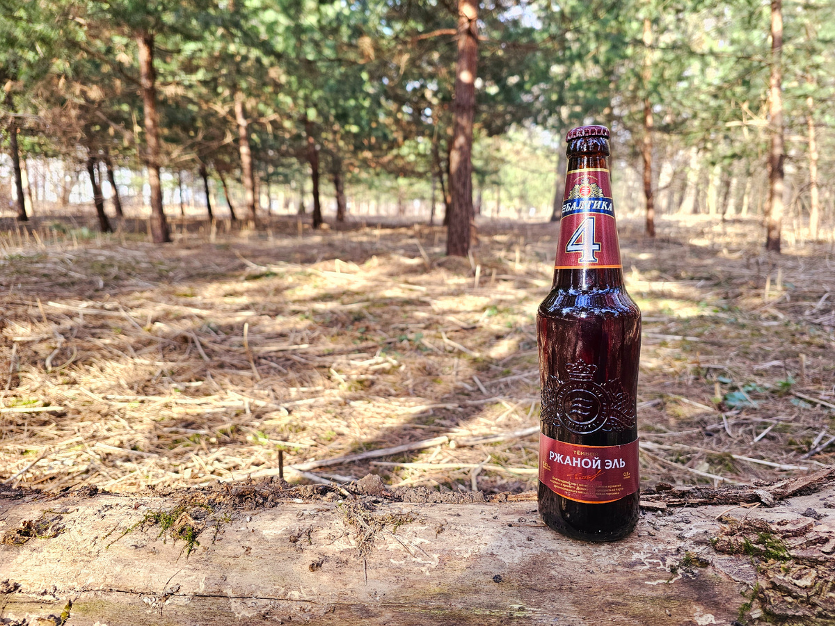 Балтика 4, фото автора