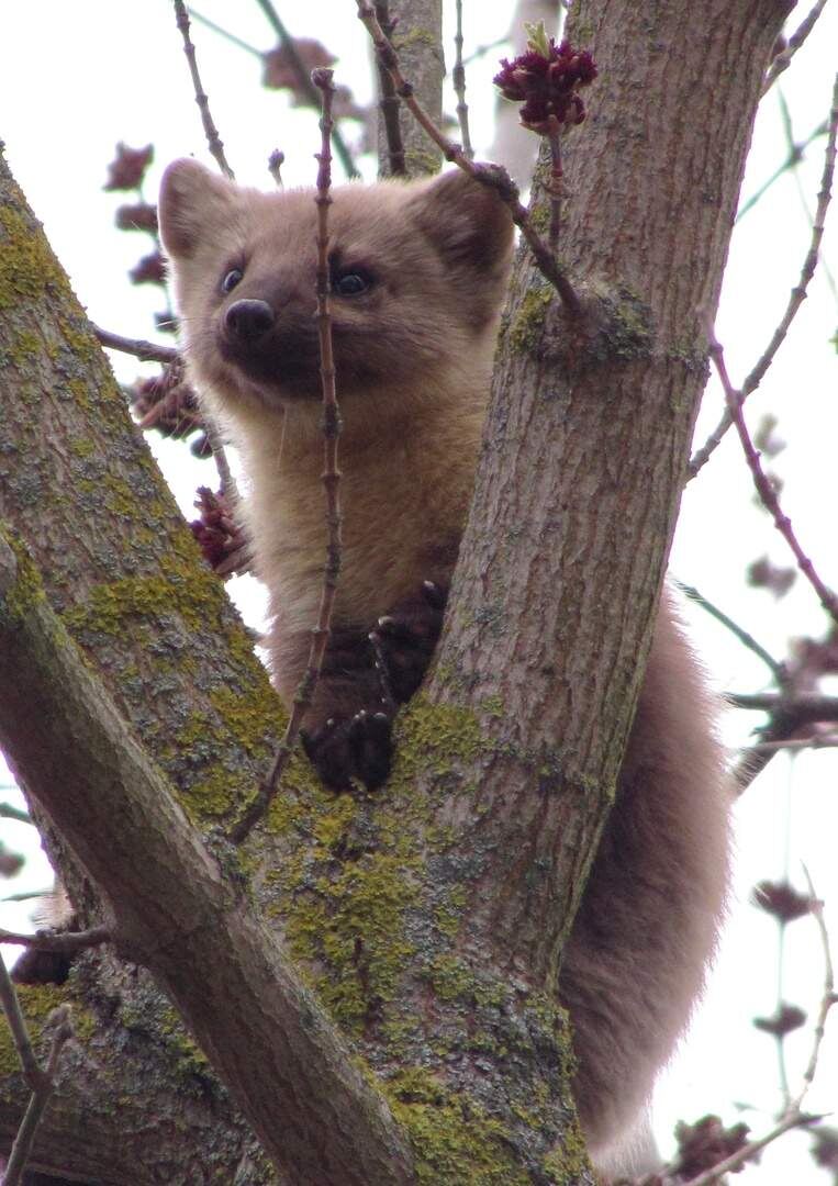    Фото: Елена Федорова