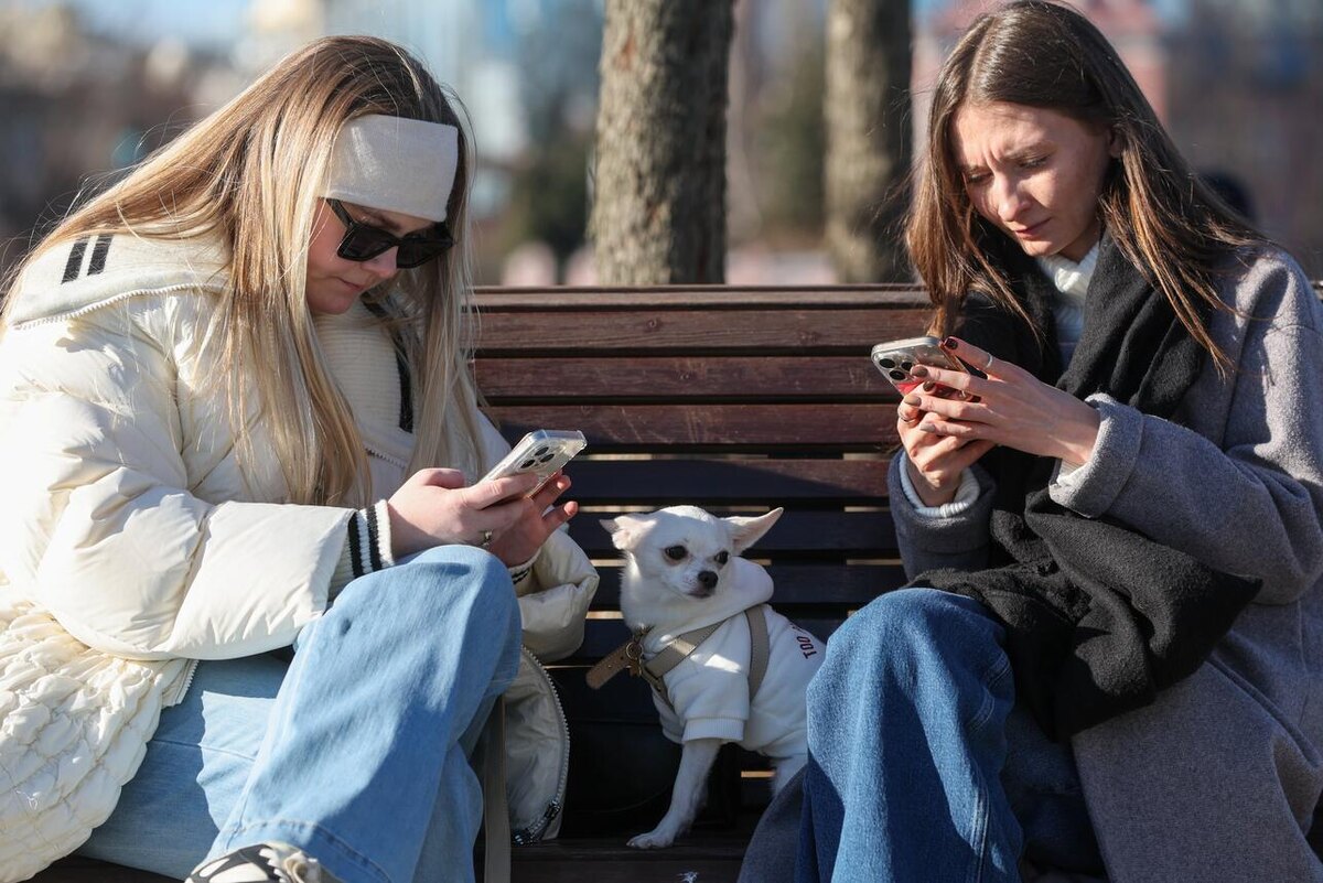     Belkin Alexey/globallookpress.ru