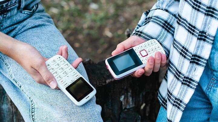  Фото: Shutterstock