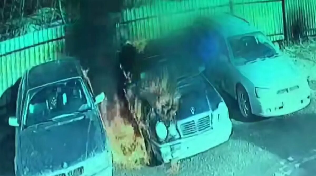    Фото: стоп-кадр видео пресс-службы ГУ МВД России по Новосибирской области