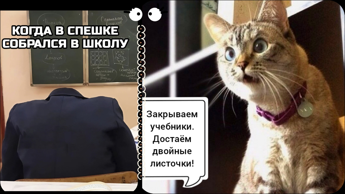 Изображение автора