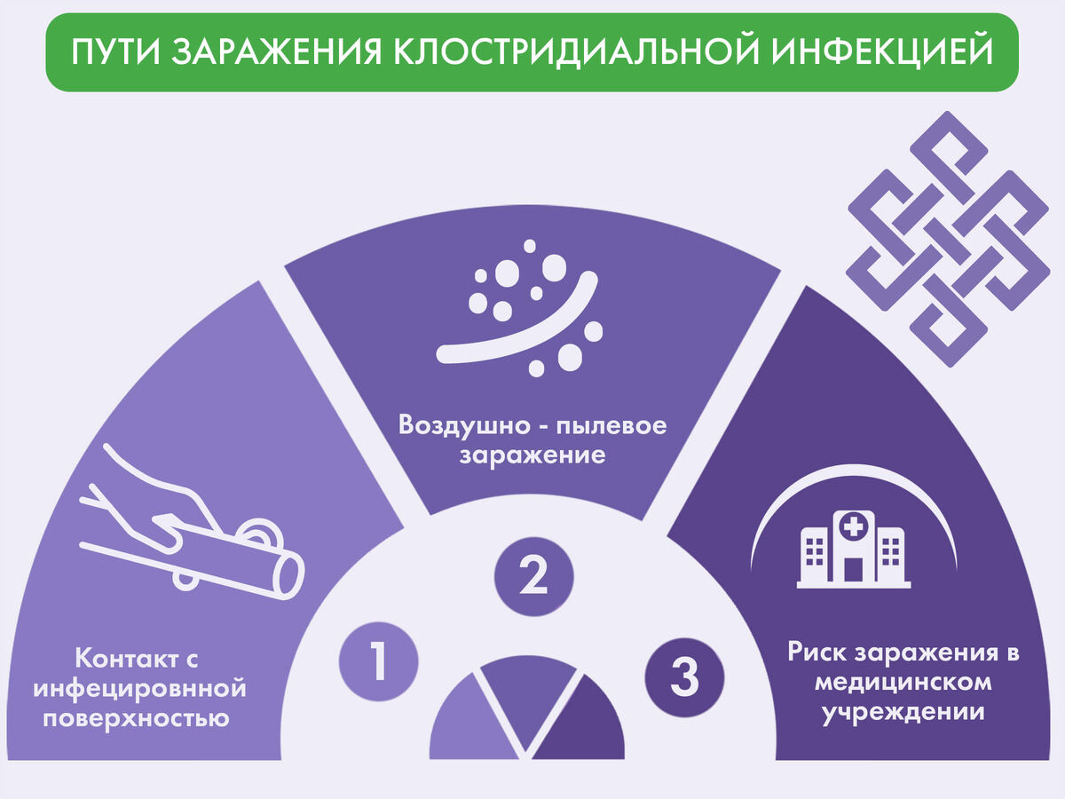 Пути заражения клостридиальной инфекцией 