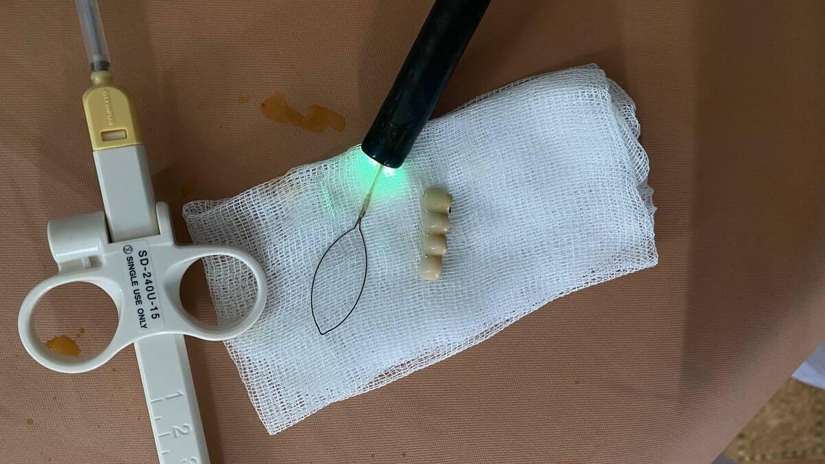 Фото: телеграм-канал «У Черного моря Туапсе»