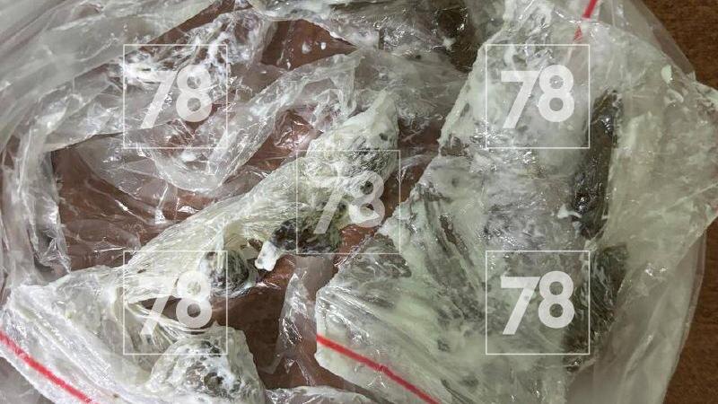    Фото: пресс-служба ГУФСИН России по Санкт-Петербургу и Ленинградской области