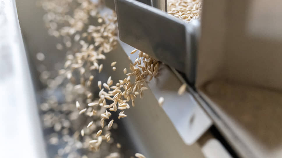 Фото: Игорь Елисеев / Коммерсантъ