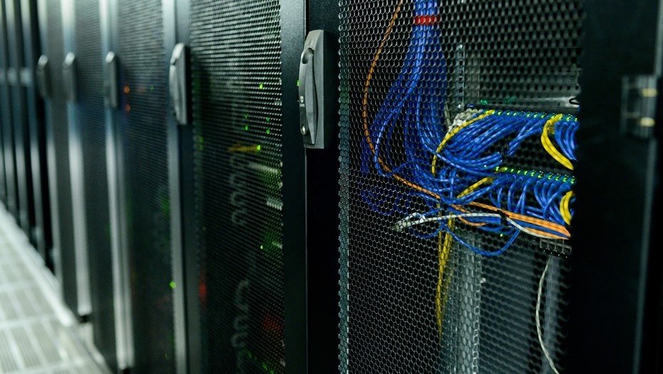    Автор фото: Сергей Ермохин / "ДП"