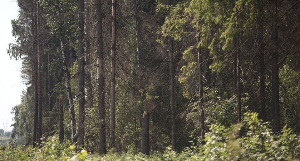    Медиасток.рф