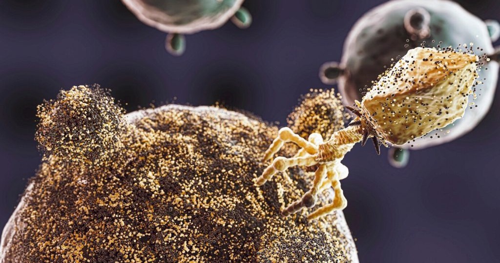 В России разработали антибиотик для борьбы с золотистым стафилококком