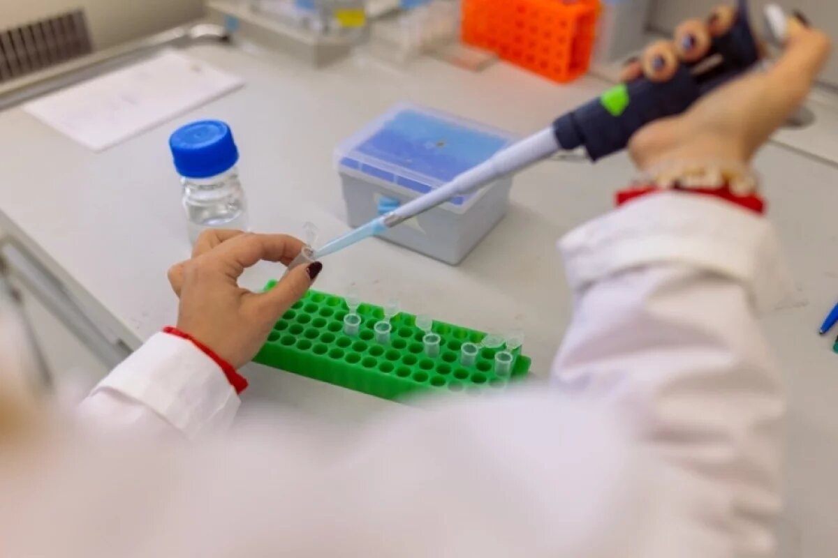    Бактерия-убийца.