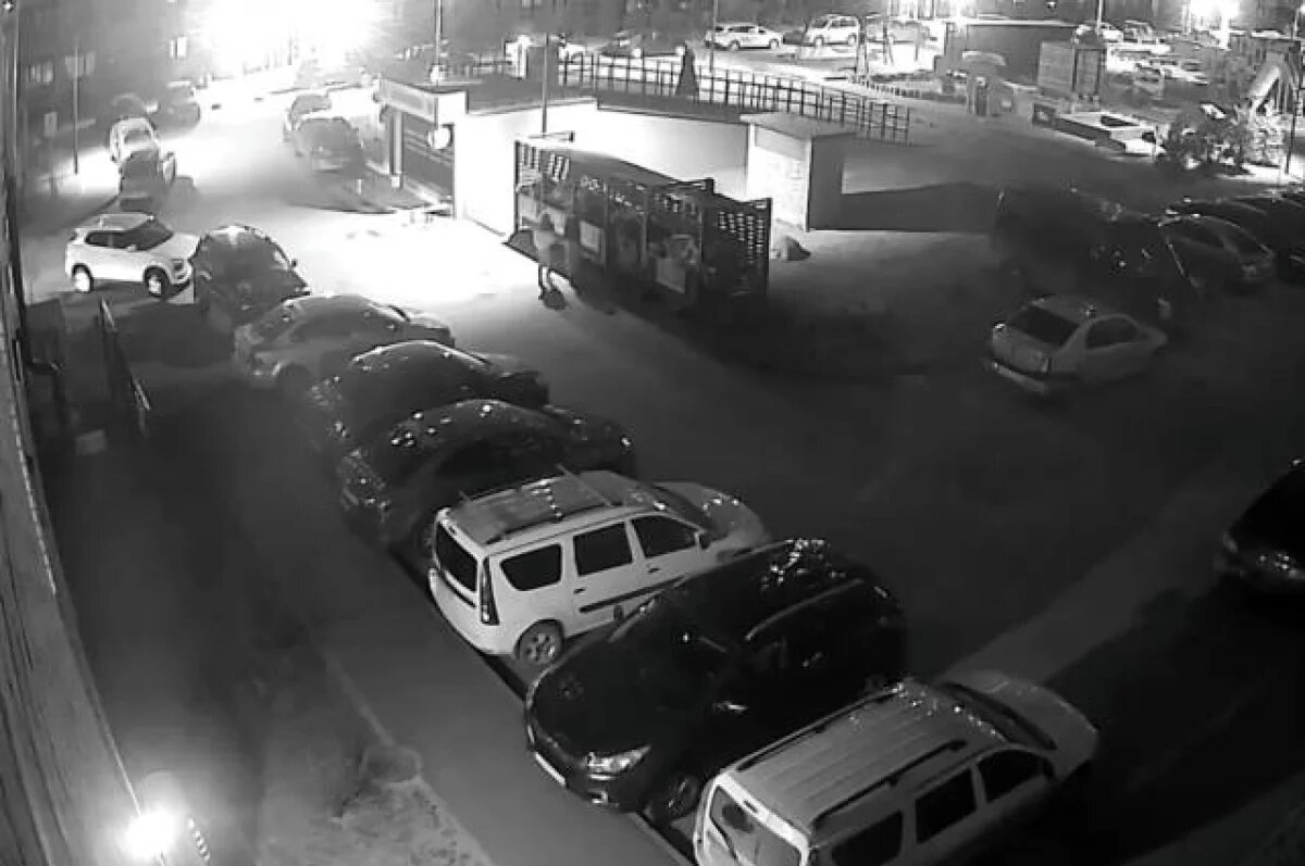    В Твери пьяный мужчина выбросил из окна 13 этажа собаку жены