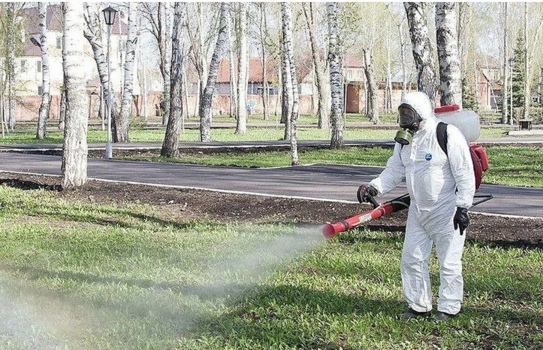 Изображение взято из открытых источников