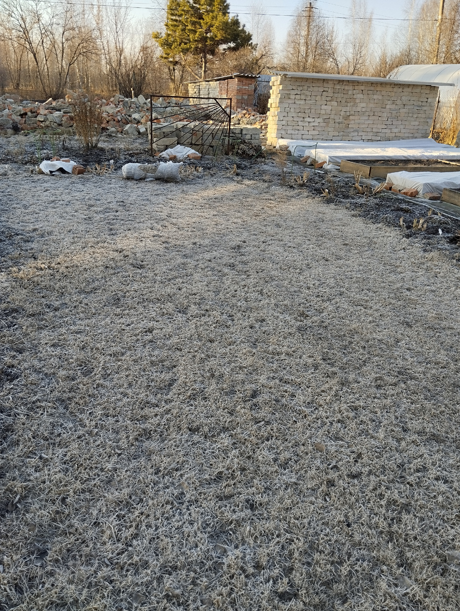 это наш газон так серенько после зимы выглядит, летом ему хорошо