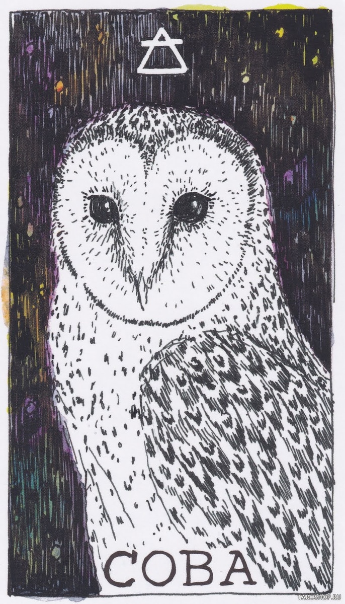 Фото из сети