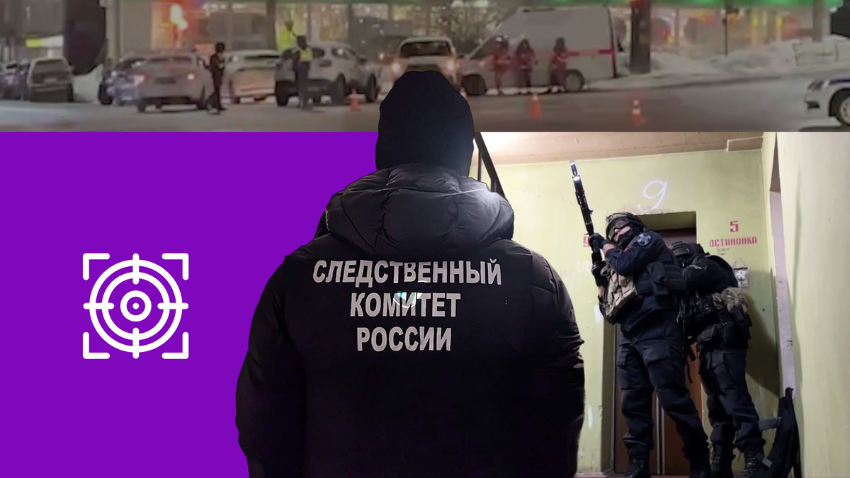 Коллаж 78.ru: t.me/rosgvardszo, iz.ru, СУ СК РФ по Мурманской области, flaticon.com/Freepik