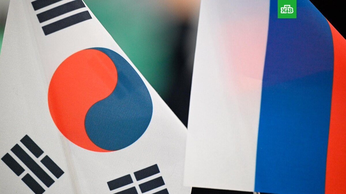    Фото: РИА Новости © 2025, Пелагия Тихонова