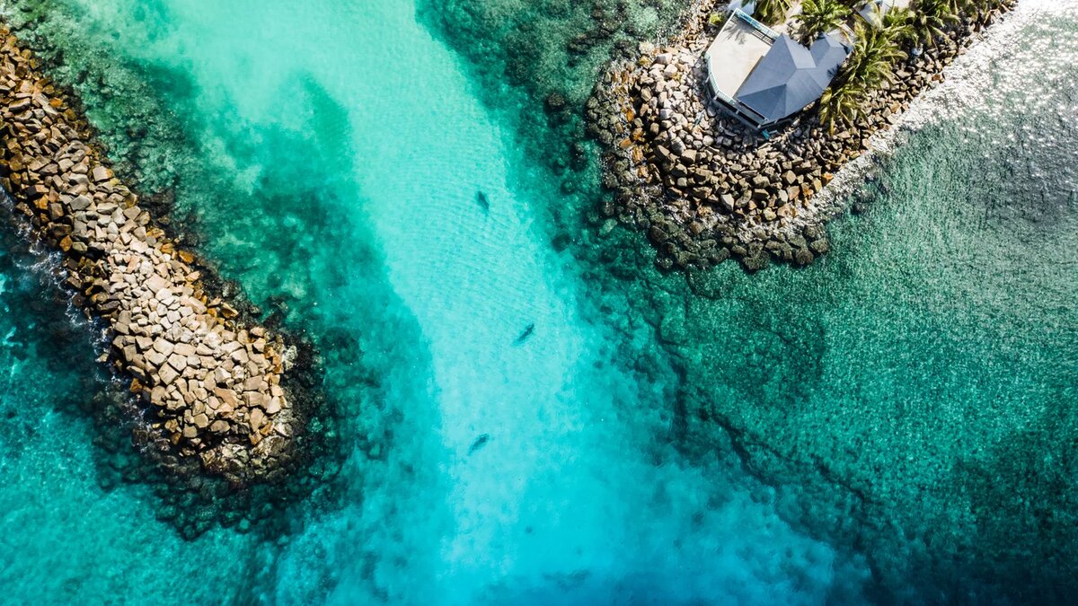 — Tiger Zoo на Фувамуле 🦈
ваплтвыюл