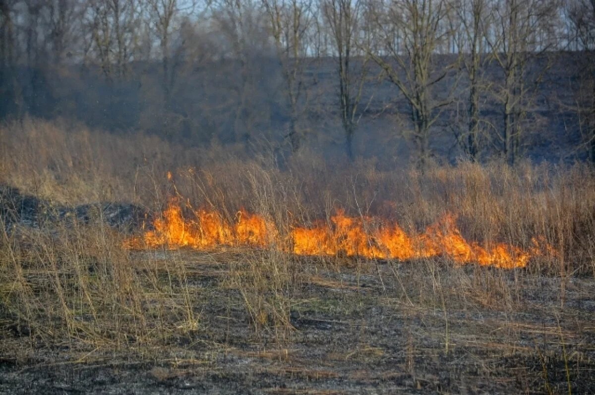    В Чувашии за сутки огонь уничтожил 35 га сухой травы