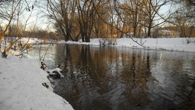 Источник: Freepik