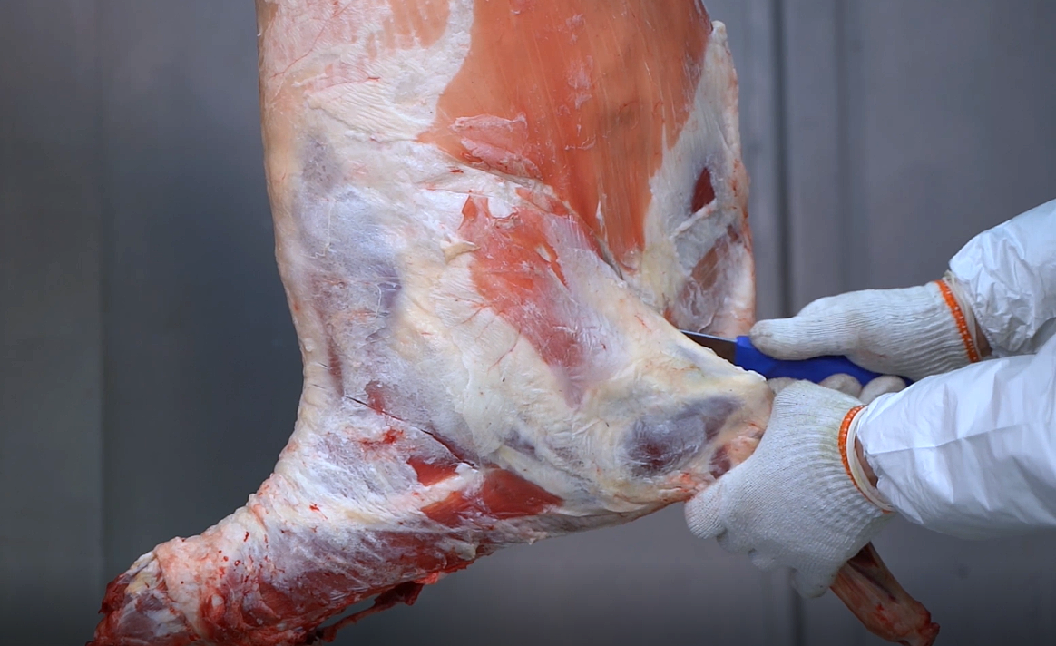 Фото: АПК Новости