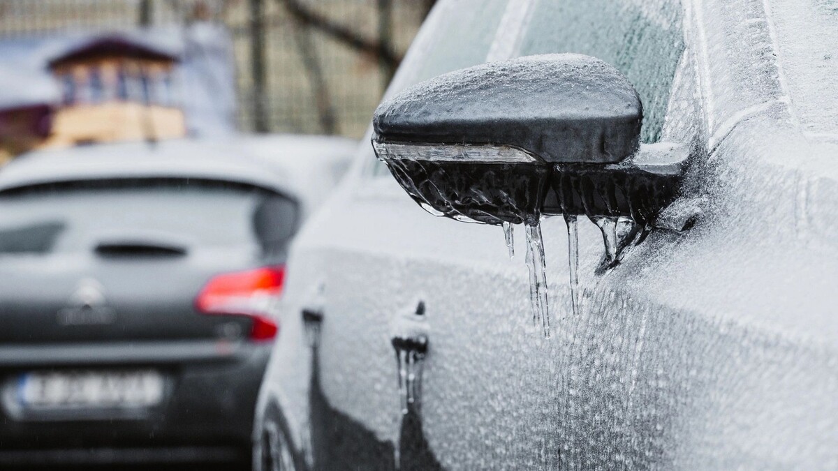    Фото: Claudiu Maxim/Shutterstock/Fotodom