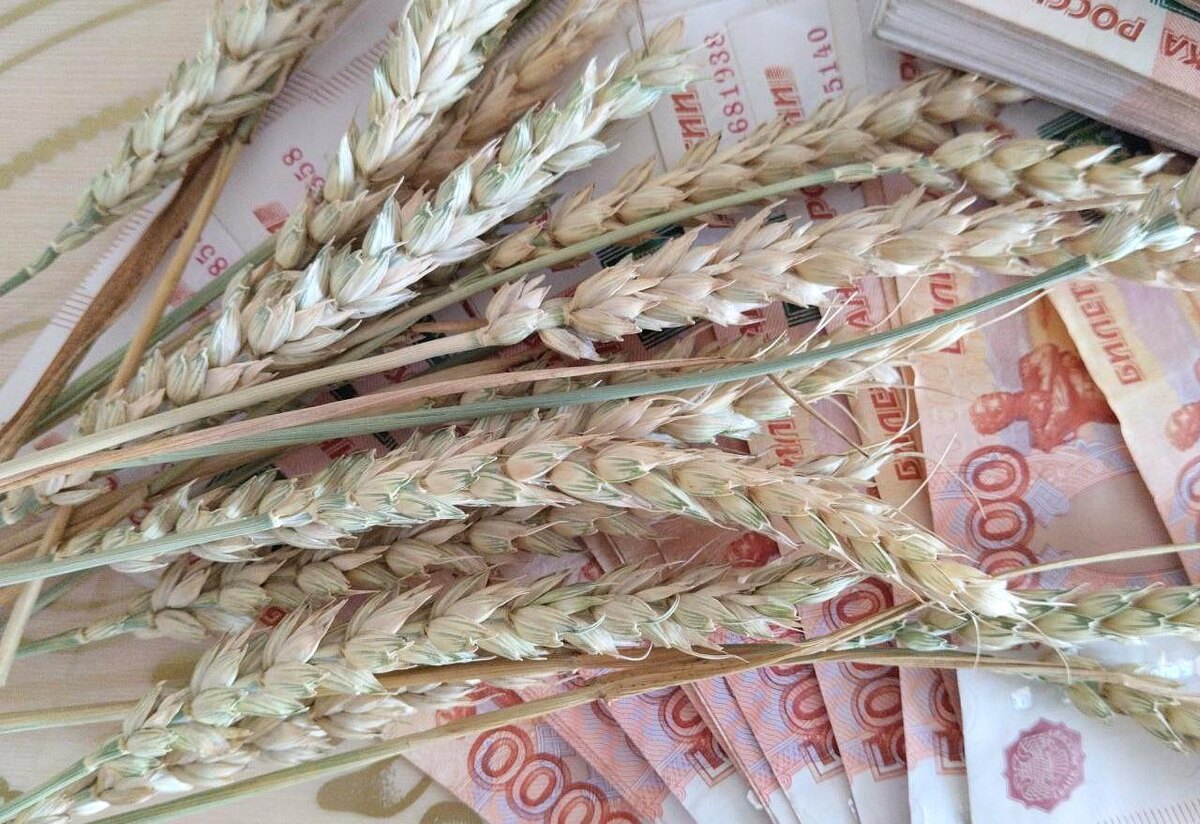 Фото: АПК Новости