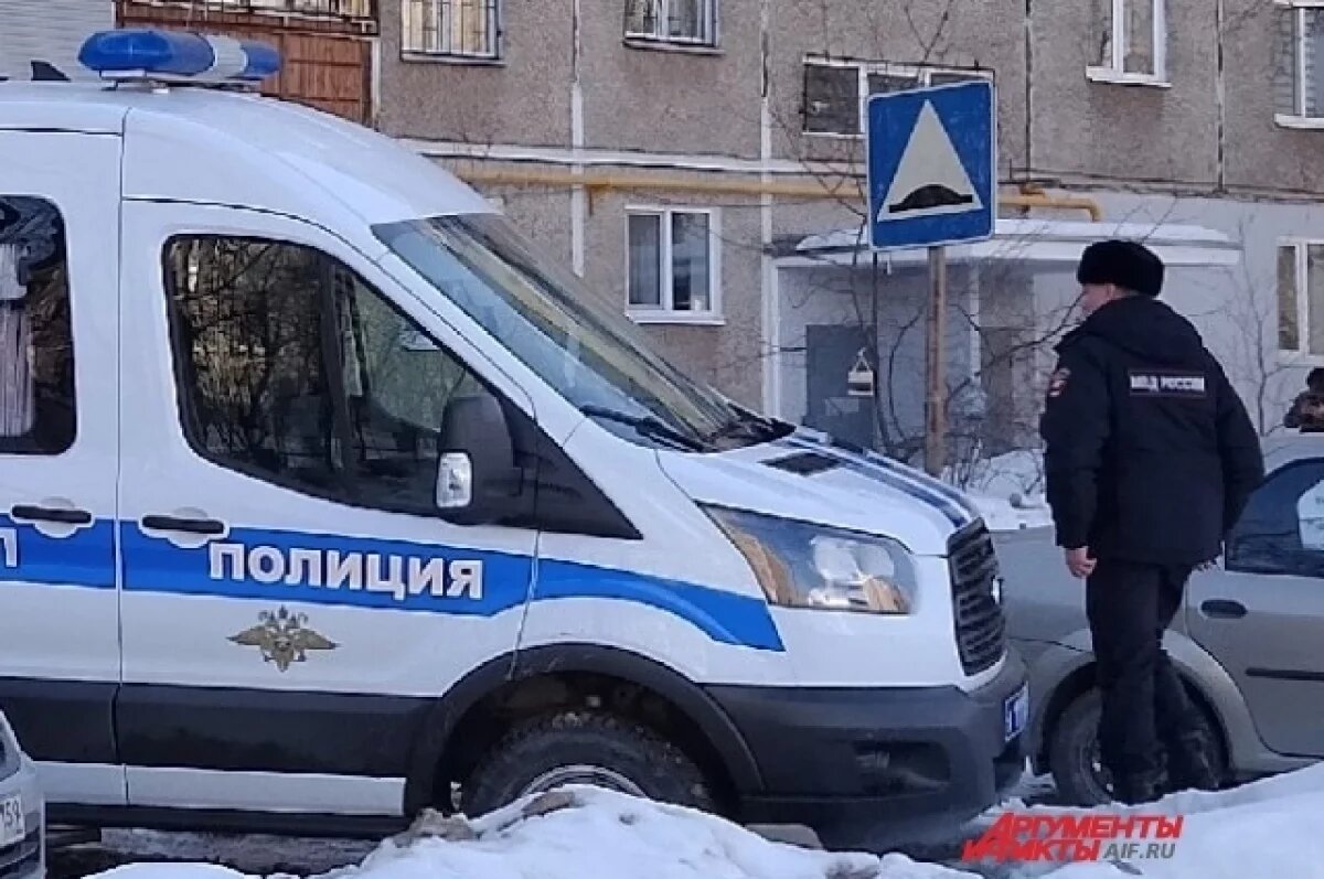    Полиция проводит проверку по факту случившегося.