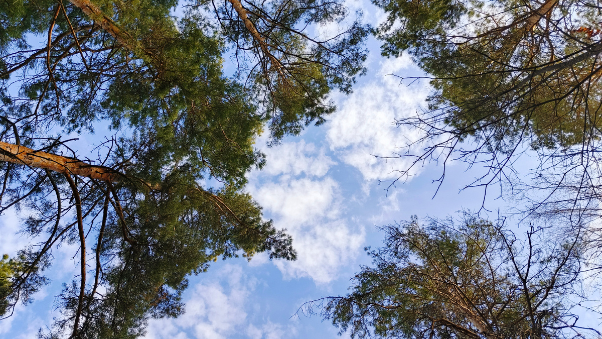 Фото автора от 30.03.2025