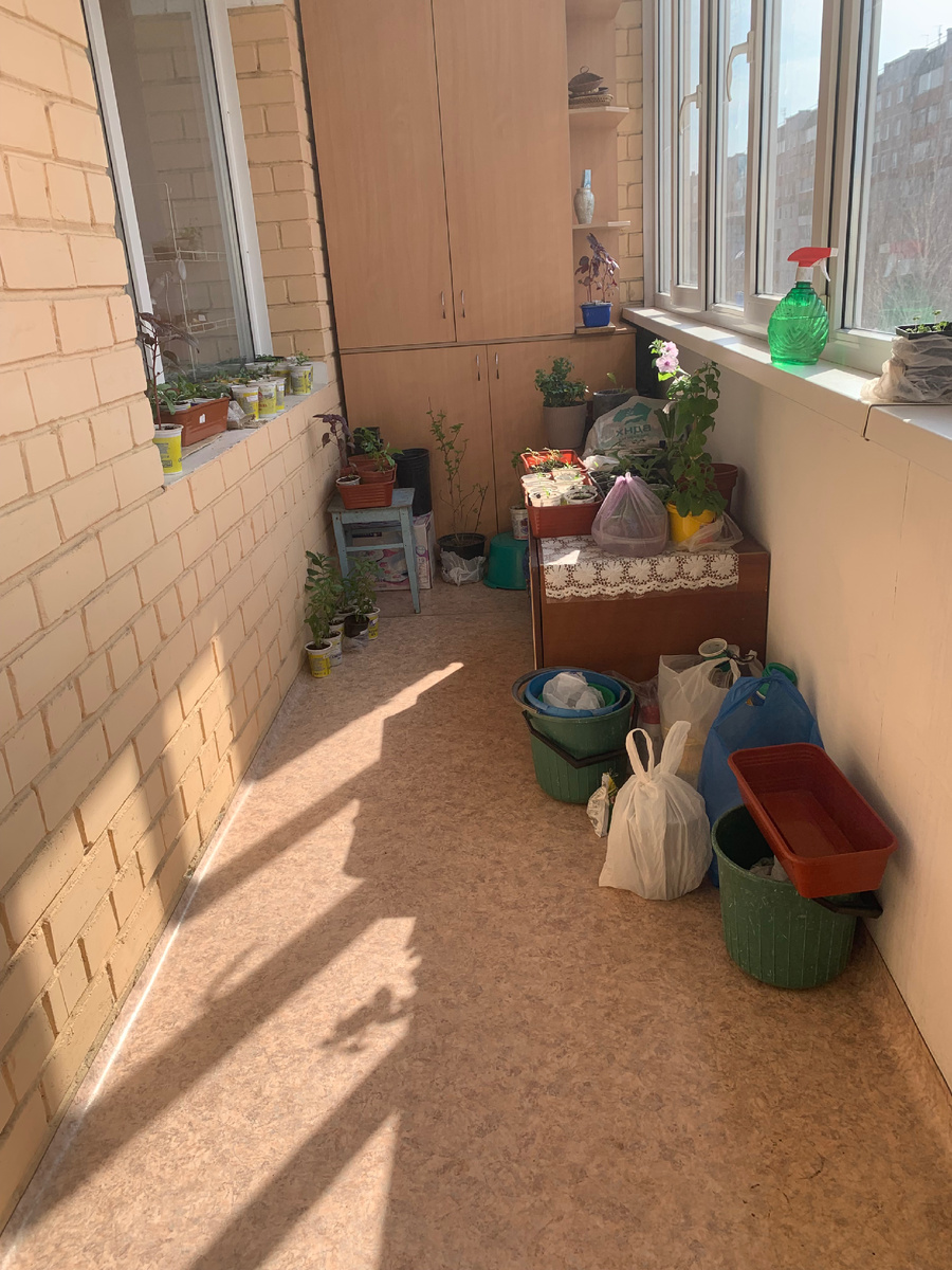 все фото автора